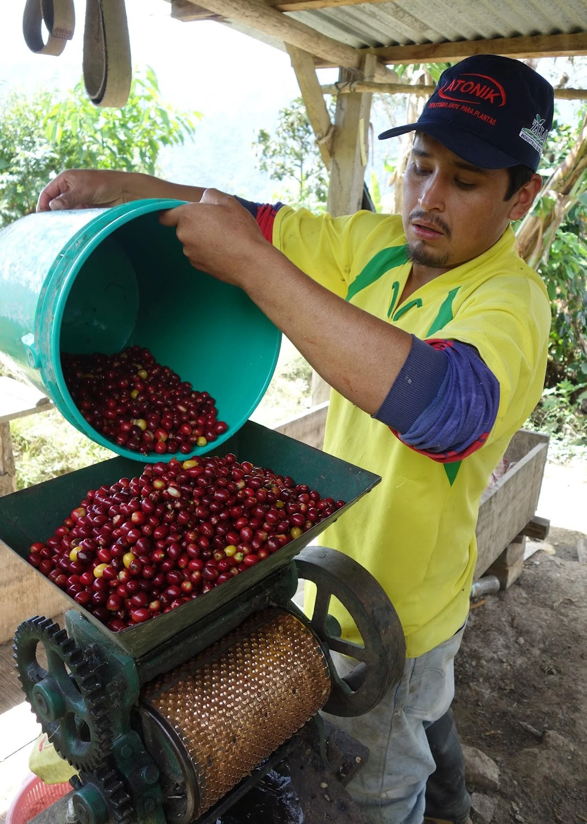 Imagen del producto 4